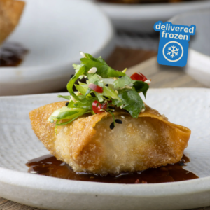 CHICKEN & GINGER WONTONS