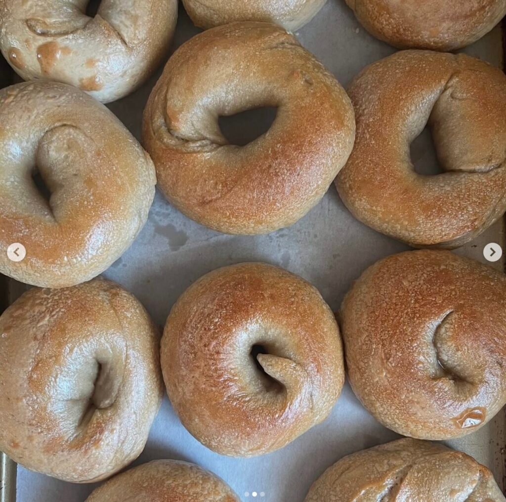 Sourdough Bagels - Plain